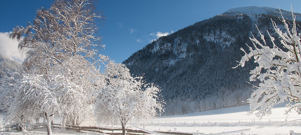 Copyright Gerlind Schiele Photography Tegernsee +49 (0) 170 - 908 85 85 Winter Märchenland rund um den Festlhof in Rottach-Egern am Tegernsee